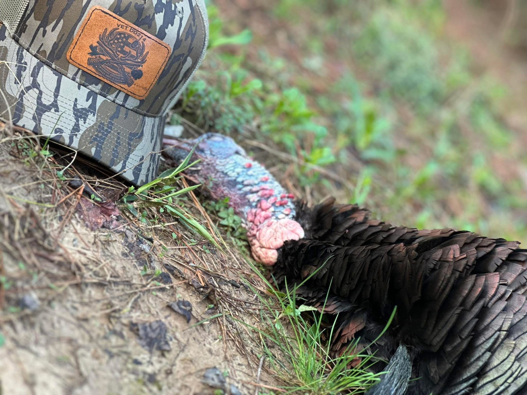 VETDD214 turkey hunt
